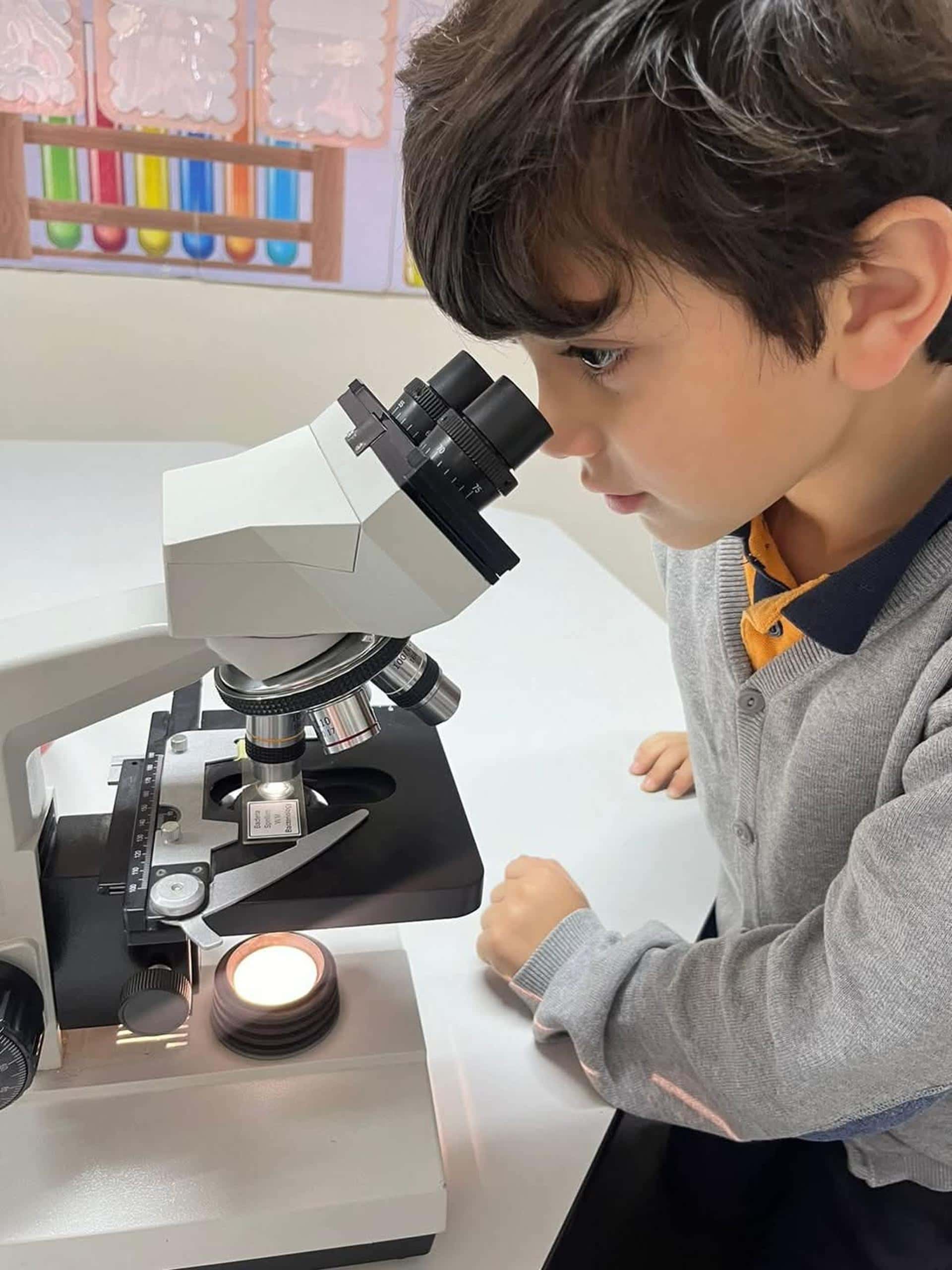 المنهاج الوطني